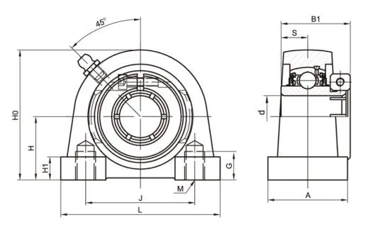 Diagram of Tapped Base Pillow Block Bearing Units UEPA2