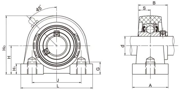 Diagram of Thermoplastic Bearing Units TP-SUCPA2