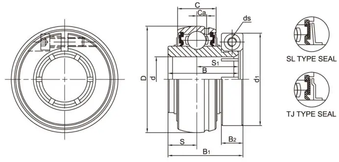 Diagram of Chrome Steel Bearing Insert With Concentic Locking UE2