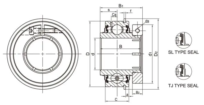 Diagram of Chrome Steel Bearing Insert With Concentic Locking UER2