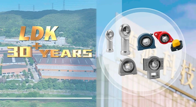 LDK Bearing