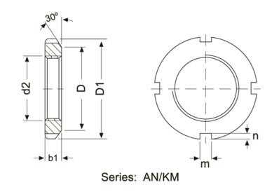 Lock Nut AH/AHX2200(3100,3200) Series